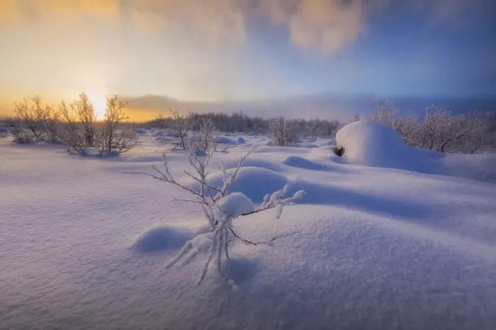 Framed Print : Sunset on the forest covered with snow, Muonio, Lapland, Finland, Europe Framed Print : Sunset on the forest covered with snow, Muonio, Lapland, Finland, Europe