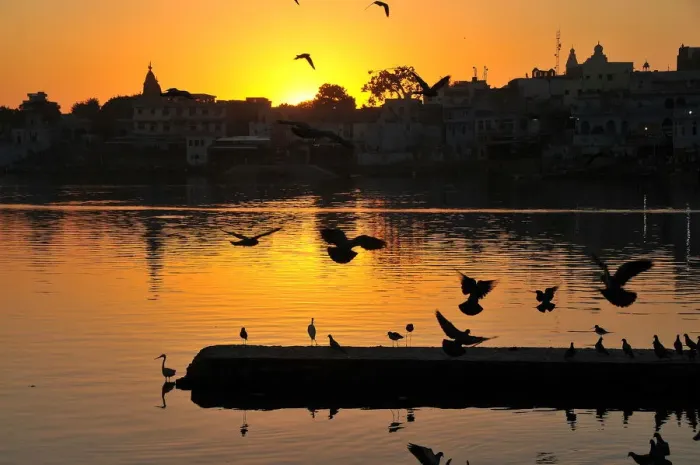 Framed Print : Sunset on the ghats at Pushkar holy Lake, Pushkar, Rajasthan, India, Asia Framed Print : Sunset on the ghats at Pushkar holy Lake, Pushkar, Rajasthan, India, Asia