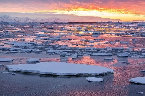 Sunset over ice floes and icebergs, near Pleneau Island, Antarctica, Southern Ocean, Polar Regions