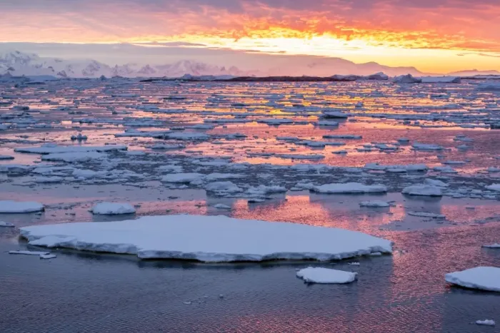 Framed Print : Sunset over ice floes and icebergs, near Pleneau Island, Antarctica, Southern Ocean, Polar Regions Framed Print : Sunset over ice floes and icebergs, near Pleneau Island, Antarctica, Southern Ocean, Polar Regions