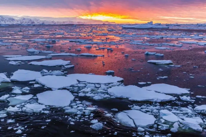 Framed Print : Sunset over ice floes and icebergs, near Pleneau Island, Antarctica, Southern Ocean, Polar Regions Framed Print : Sunset over ice floes and icebergs, near Pleneau Island, Antarctica, Southern Ocean, Polar Regions