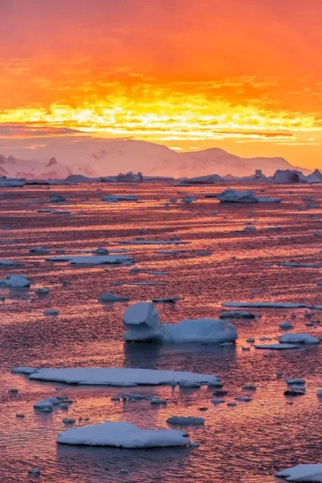 Framed Print : Sunset over ice floes and icebergs, near Pleneau Island, Antarctica, Southern Ocean, Polar Regions Framed Print : Sunset over ice floes and icebergs, near Pleneau Island, Antarctica, Southern Ocean, Polar Regions