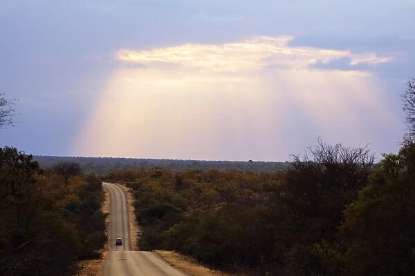 Sunset, Kruger National Park, South Africa, Africa