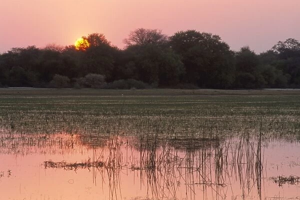 Sunset, Okavango Delta, Botswana, Africa