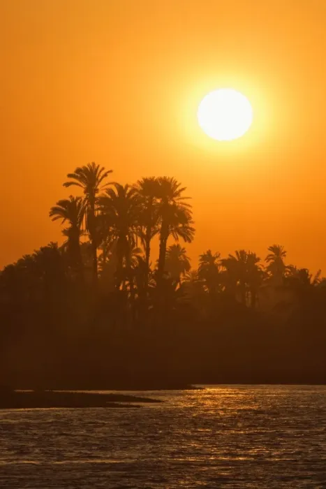 Framed Print : Sunset over palm trees on the banks of the River Nile, Egypt, North Africa, Africa Framed Print : Sunset over palm trees on the banks of the River Nile, Egypt, North Africa, Africa
