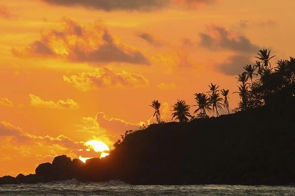 Sunset and palm trees on the western point of the south coast surf beach at Mirissa, near Matara, Southern Province, Sri Lanka, Asia