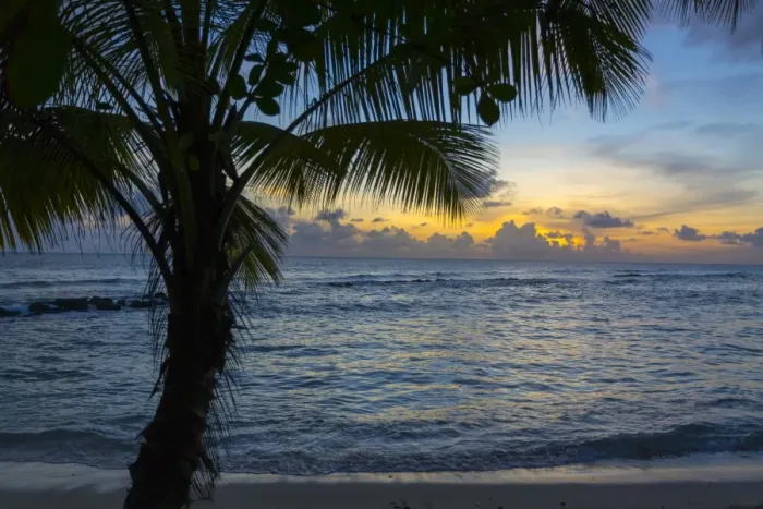 Framed Print : Sunset at Savannah Beach, Christ Church, Barbados, West Indies, Caribbean, Central Framed Print : Sunset at Savannah Beach, Christ Church, Barbados, West Indies, Caribbean, Central