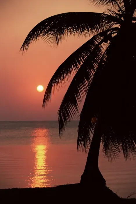 Framed Print : Sunset seen from the resort of West End on Roatan Framed Print : Sunset seen from the resort of West End on Roatan