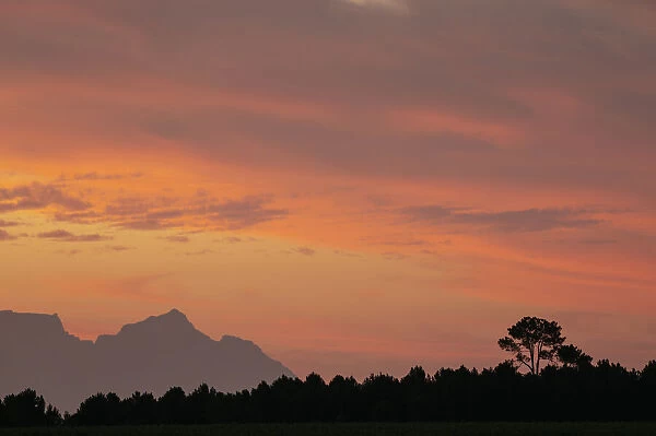 Sunset over Table Mountain, Stellenbosch, Western Cape, South Africa, Africa