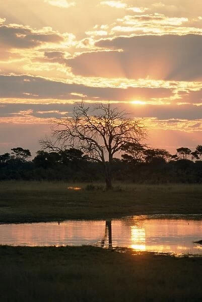 Sunset and waterhole, Hwange National Park, Zimbabwe, Africa
