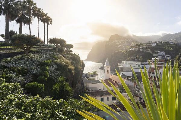 Sunset over the white buildings of Camara de Lobos framed by plants, Madeira island