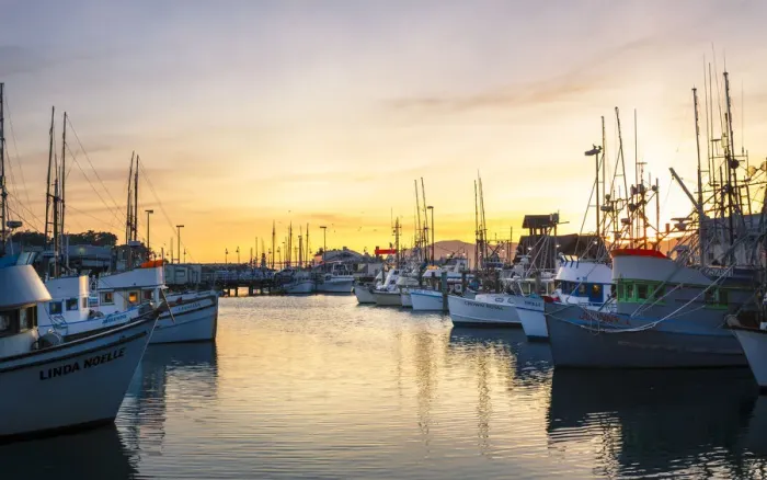 Framed Print : Sunset over Yachts at Fishermans Wharf, San Francisco, California, United States of America Framed Print : Sunset over Yachts at Fishermans Wharf, San Francisco, California, United States of America
