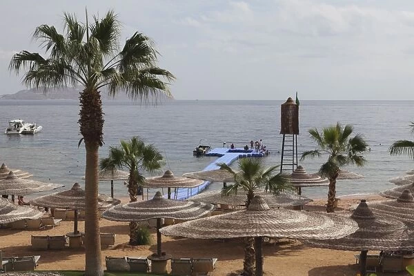 Sunshades and palm trees by the beach at White Knight Beach, Sharm el-Sheikh