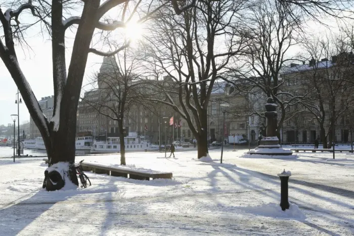 Framed Print : Sunshine in the snow-covered Berzelii Park, by the waterfront at Nybroviken, in Stockholm Framed Print : Sunshine in the snow-covered Berzelii Park, by the waterfront at Nybroviken, in Stockholm