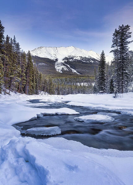 The Sunwapta River which is a tributary of the Athabasca River in jasper National Park