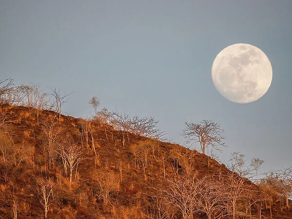 Super blue full moon rising in the east in Urbina Bay, Galapagos Islands, UNESCO World Heritage Site, Ecuador, South America