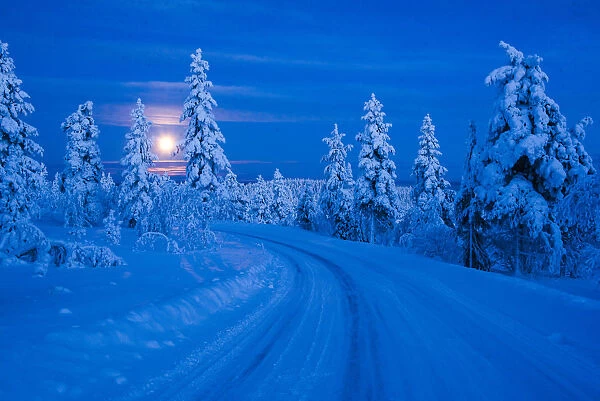 Super moon (full moon) landscape, Lapland, Pallas-Yllastunturi National Park, Lapland