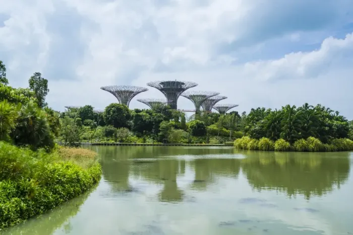 Framed Print : Supertree Grove in the Gardens by the Bay, a futuristic botanical gardens and park Framed Print : Supertree Grove in the Gardens by the Bay, a futuristic botanical gardens and park