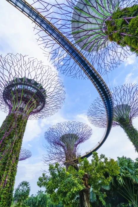 Framed Print : Supertree Grove in the Gardens by the Bay, a futuristic botanical gardens and park Framed Print : Supertree Grove in the Gardens by the Bay, a futuristic botanical gardens and park