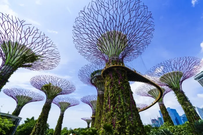 Framed Print : Supertree Grove in the Gardens by the Bay, a futuristic botanical gardens and park Framed Print : Supertree Grove in the Gardens by the Bay, a futuristic botanical gardens and park