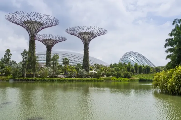 Framed Print : Supertree Grove in the Gardens by the Bay, a futuristic botanical gardens and park Framed Print : Supertree Grove in the Gardens by the Bay, a futuristic botanical gardens and park