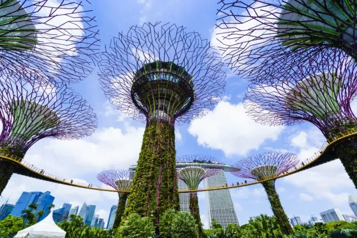 Framed Print : Supertree Grove in the Gardens by the Bay, a futuristic botanical gardens and park Framed Print : Supertree Grove in the Gardens by the Bay, a futuristic botanical gardens and park