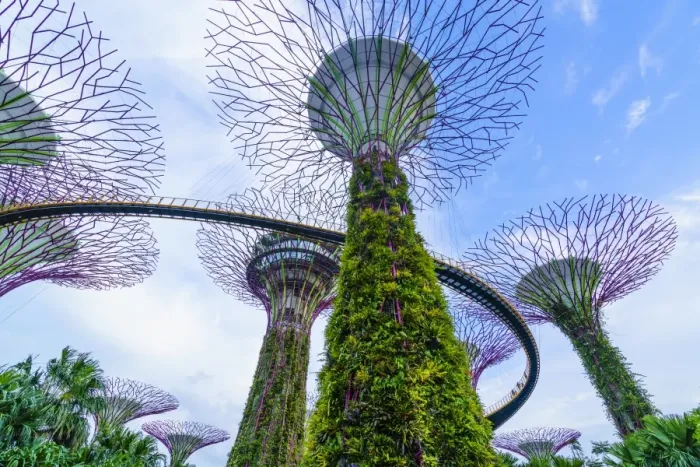 Framed Print : Supertree Grove in the Gardens by the Bay, a futuristic botanical gardens and park Framed Print : Supertree Grove in the Gardens by the Bay, a futuristic botanical gardens and park