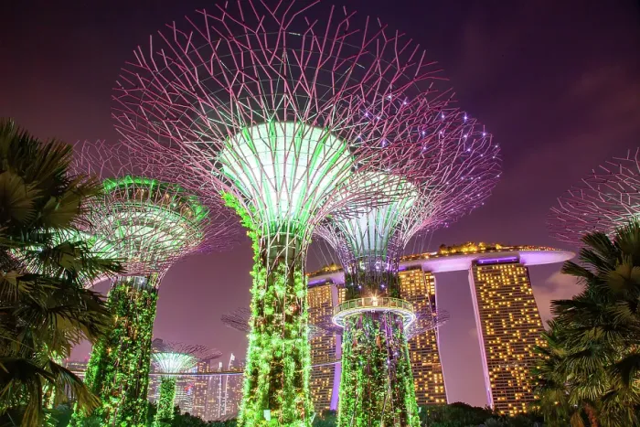 Framed Print : Supertrees illuminated for light show in Gardens by the Bay, Singapore Framed Print : Supertrees illuminated for light show in Gardens by the Bay, Singapore