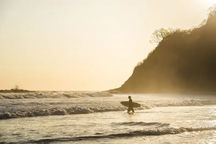 Framed Print : Surfers surfing on a beach at sunset, Nosara, Guanacaste Province, Pacific Coast Framed Print : Surfers surfing on a beach at sunset, Nosara, Guanacaste Province, Pacific Coast