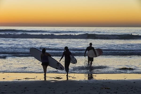 Surfers walking with their surfboards in the ocean at sunset, Del Mar, California