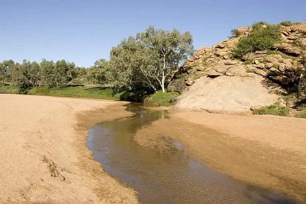 The surviving pool in the normally dry riverbed, thought to be a spring from bedrock so was named Alice Springs, in the town of the same name, Alice Springs, Northern Territory