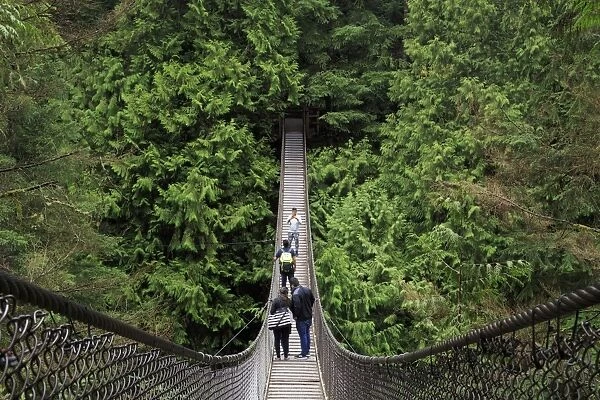 Suspension bridge, Lynn Canyon Park, Vancouver, British Columbia, Canada, North America