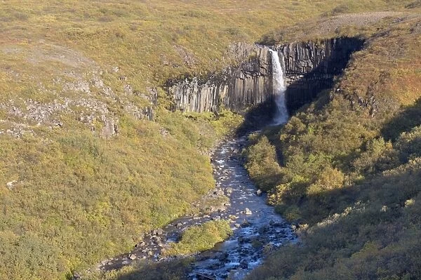 Svartifoss (Black Falls) waterfall, with overhanging black basalt columns