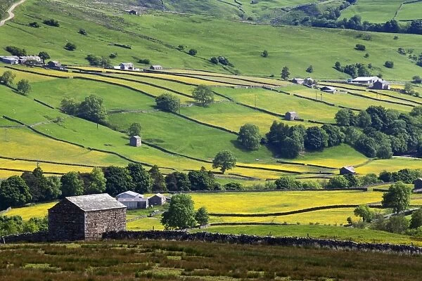 Swaledale in summer from Askrigg High Road near Muker, Yorkshire Dales, Yorkshire, England, United Kingdom, Europe