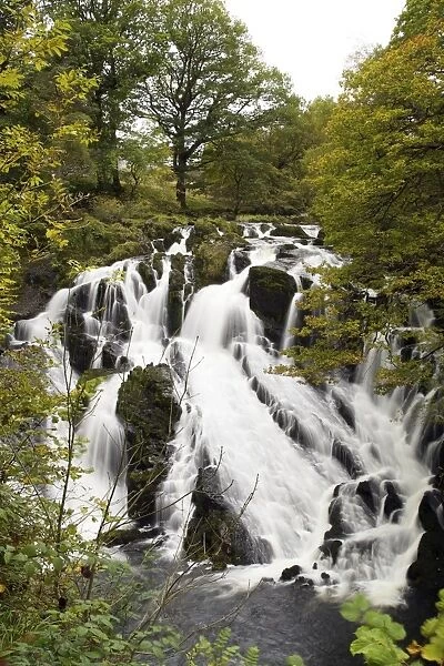 Swallow Falls in autumn, near Betwys-y-Coed, on River Llugwy, Conwy, Wales, United Kingdom