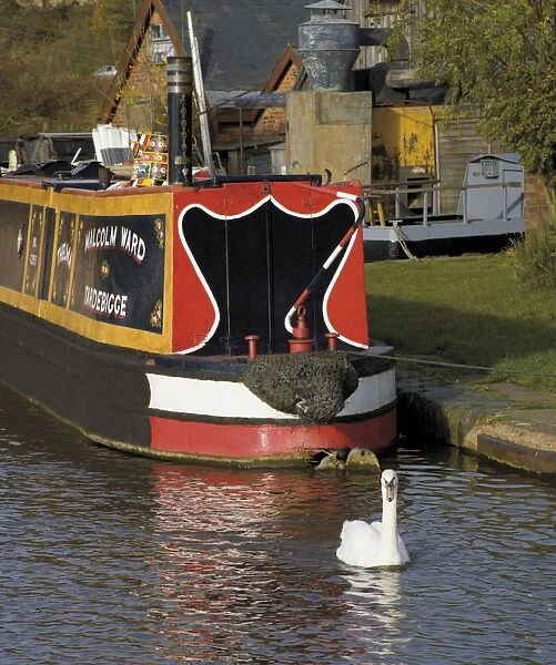 Swan and narrowboat near the British Waterways Board workshops, Worcester