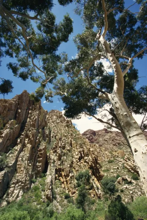 Framed Print : Swartberg Pass rock formation Framed Print : Swartberg Pass rock formation