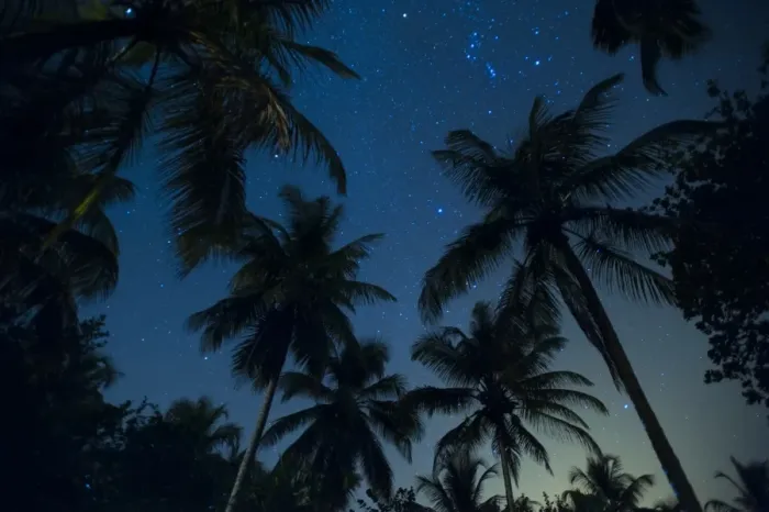Framed Print : Swaying palm fronds and stars at Palomino on the Carribean coast of Colombia, South Framed Print : Swaying palm fronds and stars at Palomino on the Carribean coast of Colombia, South