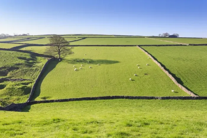 Framed Print : Sweeping landscape featuring dry stone wall in spring, Peak District National Park Framed Print : Sweeping landscape featuring dry stone wall in spring, Peak District National Park