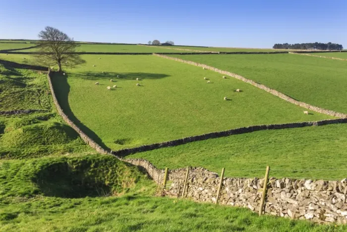Framed Print : Sweeping landscape featuring dry stone walls in spring, Peak District National Park Framed Print : Sweeping landscape featuring dry stone walls in spring, Peak District National Park