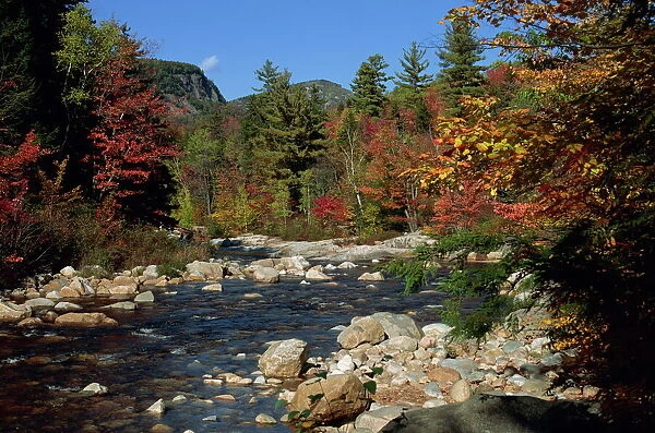 The Swift River in autumn (fall)