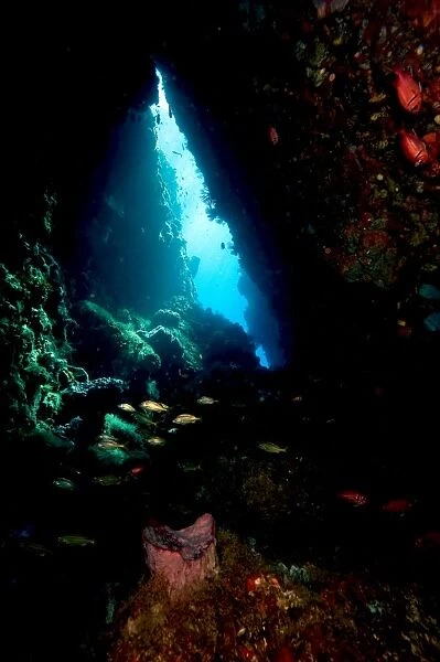 Swim through, Dominica, West Indies, Caribbean, Central America
