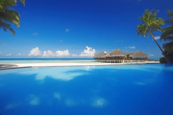 Swimming pool, palms and beach huts, Maldives, Indian Ocean, Asia