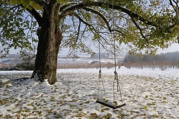 Swing in autumn snow, Charente, France, Europe