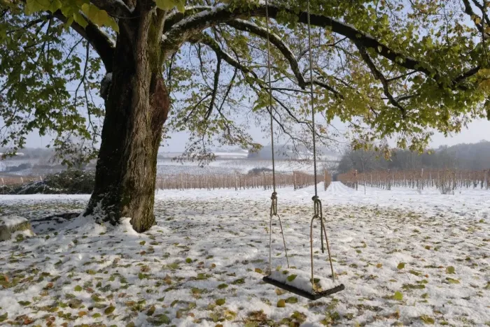 Framed Print : Swing in autumn snow, Charente, France, Europe Framed Print : Swing in autumn snow, Charente, France, Europe