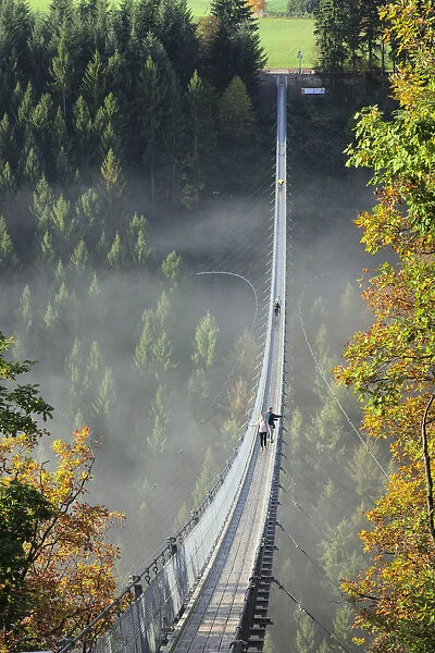 Swing Bridge Geierlay, Moersdorf, Hunsrueck, Rhineland-Palatinate, Germany, Europe