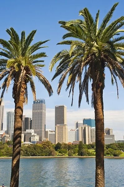 Sydney Central Business District and city centre from Sydney Botanic Gardens, Sydney, New South Wales, Australia, Pacific