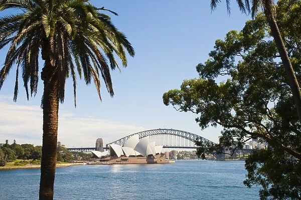 Sydney Opera House, UNESCO World Heritage Site, and Sydney Harbour Bridge from the Botanic Gardens, Sydney, New South Wales, Australia, Pacific