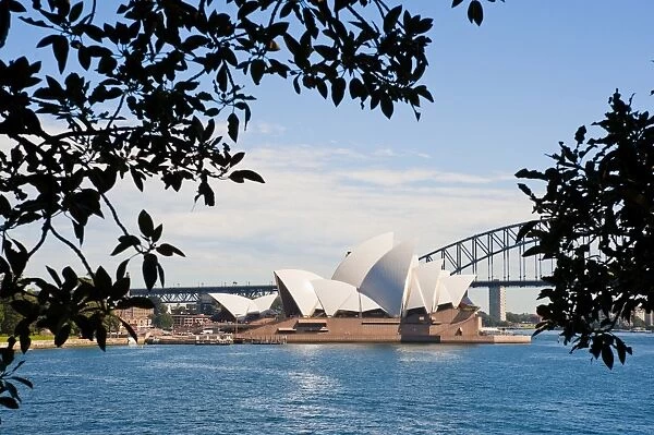 Sydney Opera House, UNESCO World Heritage Site, and bridge from the Sydney Botanic Gardens, Sydney, New South Wales, Australia, Pacific