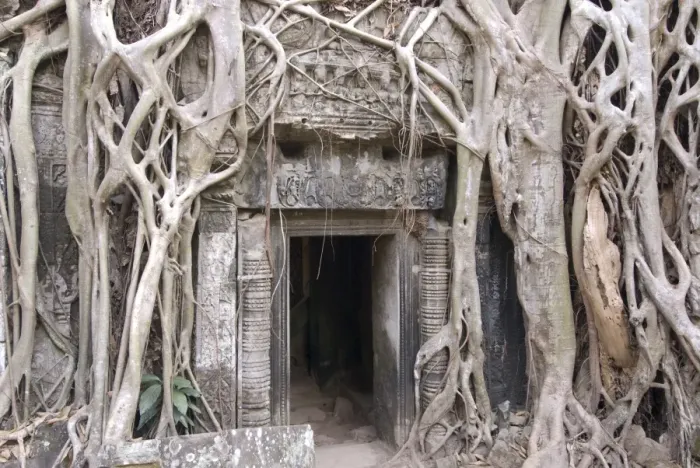 Framed Print : Ta Prohm, Angkor Archaeological Park, UNESCO World Heritage Site, Siem Reap, Cambodia, Indochina, Southeast Asia, Asia Framed Print : Ta Prohm, Angkor Archaeological Park, UNESCO World Heritage Site, Siem Reap, Cambodia, Indochina, Southeast Asia, Asia